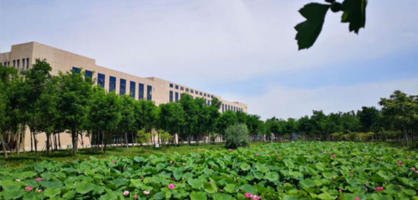 東營職業(yè)學(xué)院 - 最美大學(xué)