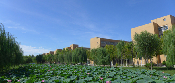 東營職業(yè)學(xué)院 - 最美大學(xué)