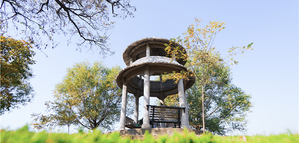 山東科技職業(yè)學院 - 最美大學