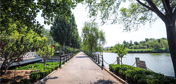 山東科技職業(yè)學院 - 最美大學