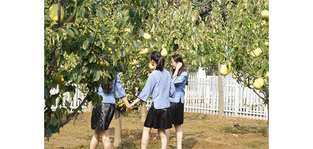 菏澤醫(yī)學(xué)?？茖W(xué)校 - 最美大學(xué)