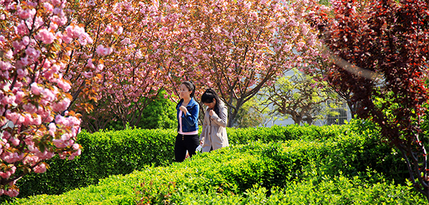 山東經貿職業(yè)學院 - 最美大學