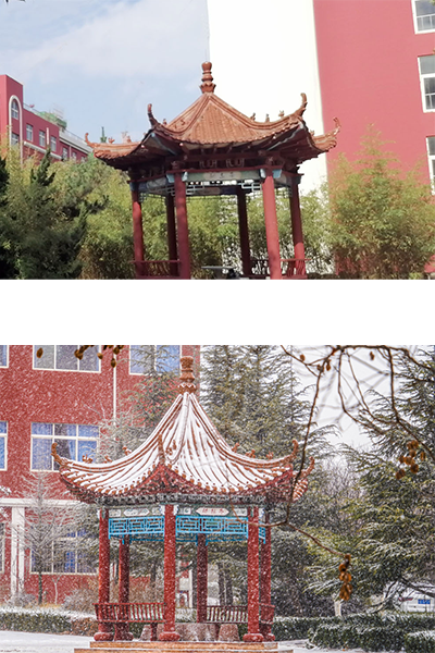 青島求實職業(yè)技術學院