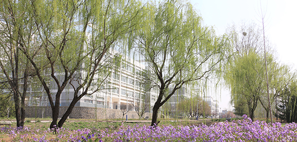 山東電子職業(yè)技術學院 - 最美大學