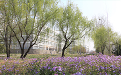 山東電子職業(yè)技術學院 - 我的大學