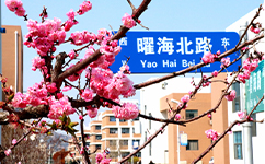 威海海洋職業(yè)學院 - 我的大學
