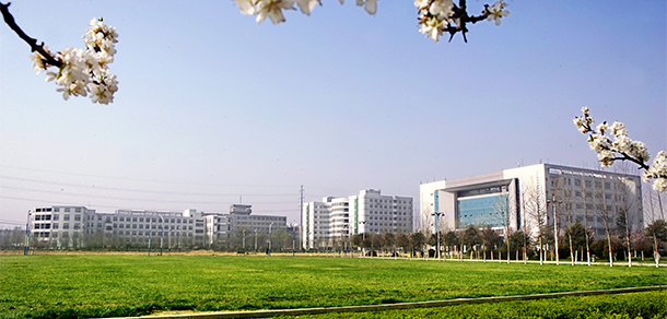 我的大學(xué)-大學(xué)志
