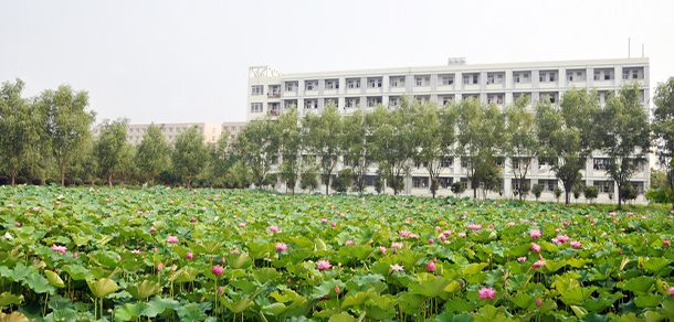 信陽(yáng)農(nóng)林學(xué)院 - 最美大學(xué)