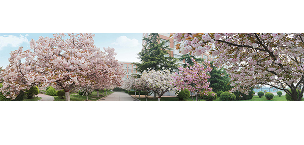 安陽工學(xué)院 - 最美大學(xué)