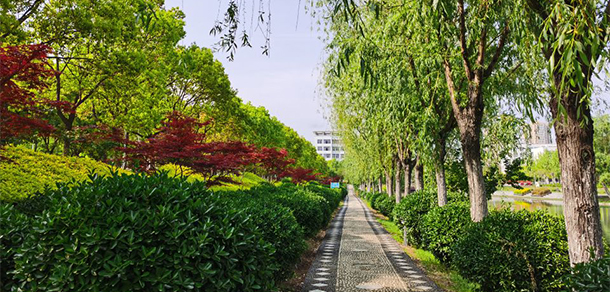 南陽理工學(xué)院 - 最美大學(xué)