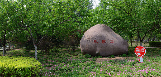 濟源職業(yè)技術(shù)學院