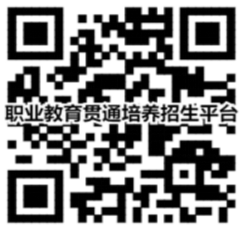 二維碼在線進行報考、計劃查詢、錄取查詢