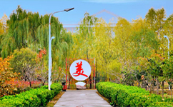 鶴壁汽車(chē)工程職業(yè)學(xué)院 - 我的大學(xué)