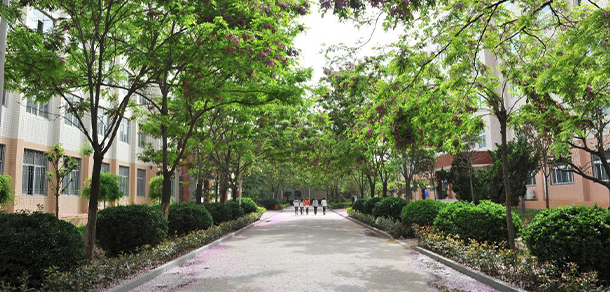 我的大學(xué)-大學(xué)志