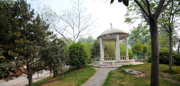 我的大學(xué)-大學(xué)志
