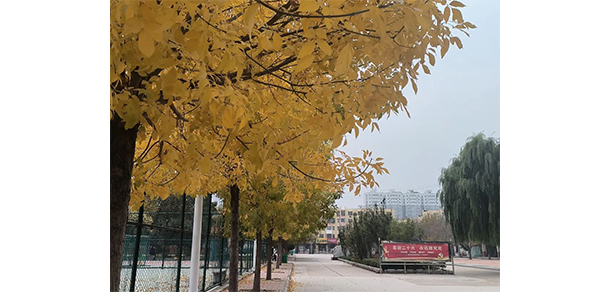 濮陽石油化工職業(yè)技術(shù)學(xué)院 - 最美大學(xué)