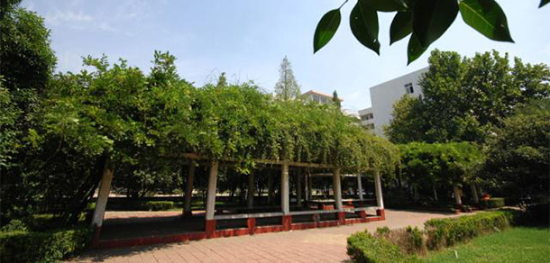 平頂山職業(yè)技術學院 - 最美大學