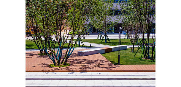鄭州城建職業(yè)學院 - 最美大學