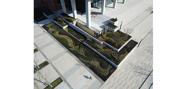 鄭州城建職業(yè)學院 - 最美大學