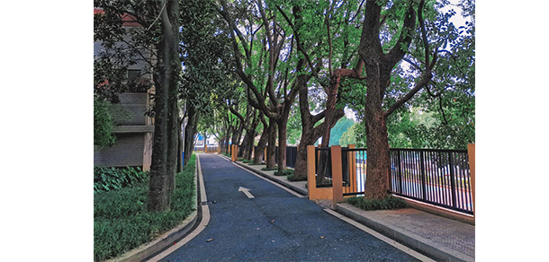 湖南師范大學樹達學院 - 最美大學