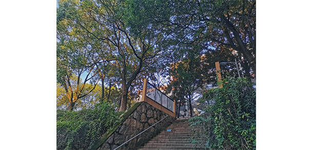 湖南師范大學樹達學院 - 最美大學