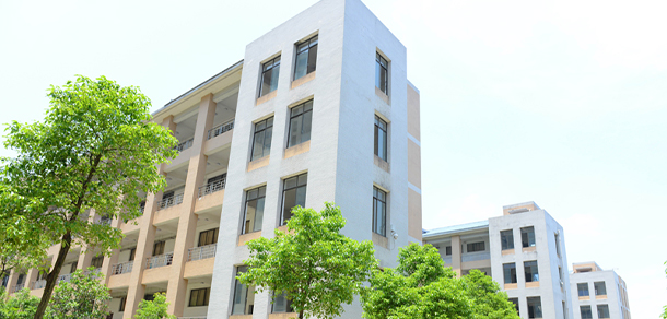 我的大學(xué)-大學(xué)志
