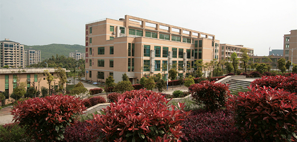 我的大學(xué)-大學(xué)志