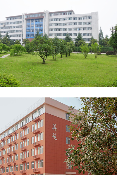 湖南石油化工職業(yè)技術學院