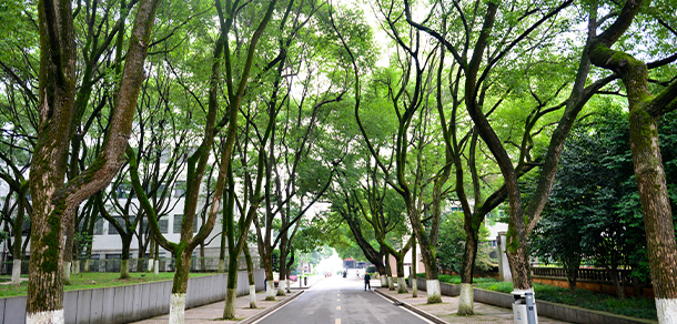 長沙電力職業(yè)技術(shù)學(xué)院