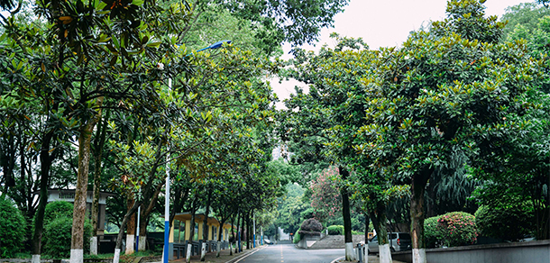 長沙電力職業(yè)技術(shù)學(xué)院