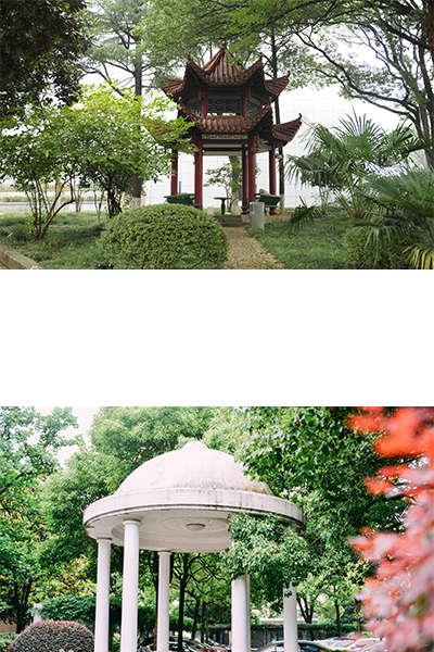 歲月流金 · 青春不散場(chǎng)