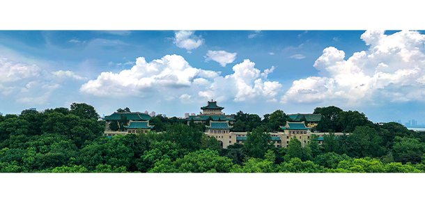 我的大學(xué)-大學(xué)志