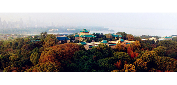 我的大學(xué)-大學(xué)志