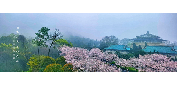 我的大學(xué)-大學(xué)志