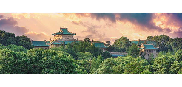我的大學(xué)-大學(xué)志