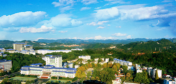我的大學-大學志