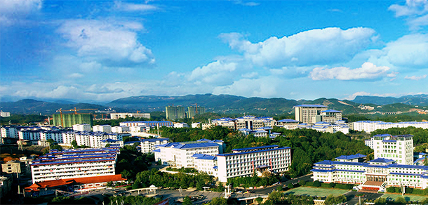 我的大學-大學志