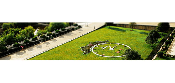 我的大學-大學志