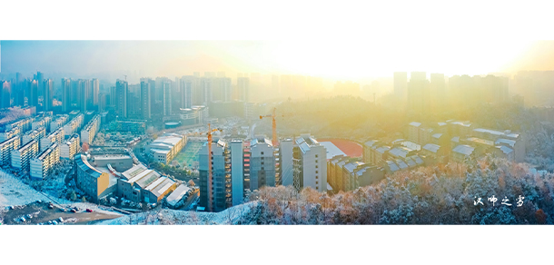 我的大學(xué)-大學(xué)志