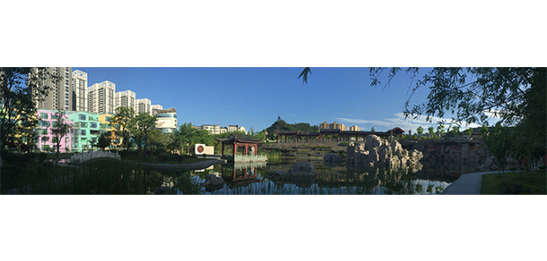 我的大學(xué)-大學(xué)志