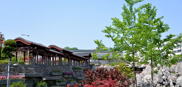我的大學(xué)-大學(xué)志