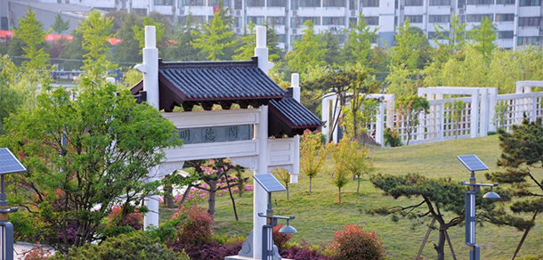 我的大學(xué)-大學(xué)志