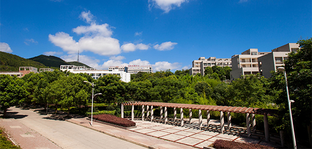 我的大學-大學志