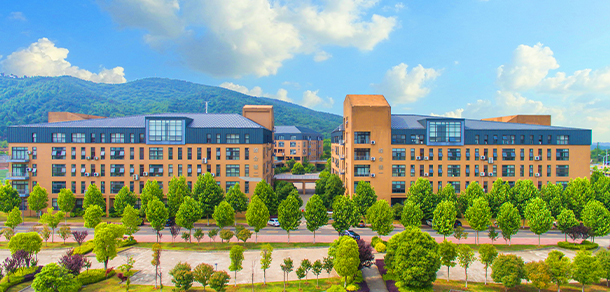 大學(xué)校志：校名、校標(biāo)、校訓(xùn)、?；?、校旗、校歌