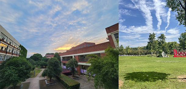 我的大學(xué)-大學(xué)志