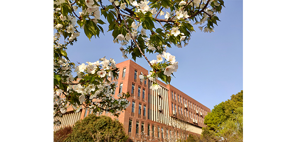 我的大學(xué)-大學(xué)志