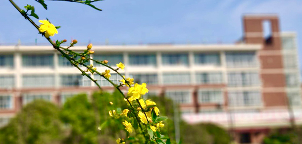 我的大學(xué)-大學(xué)志