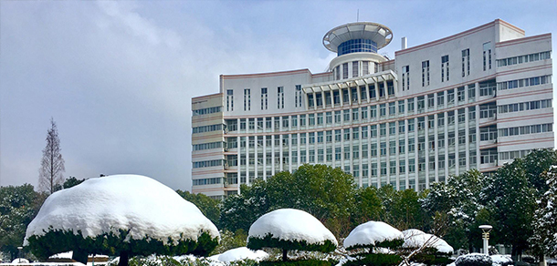 我的大學(xué)-大學(xué)志