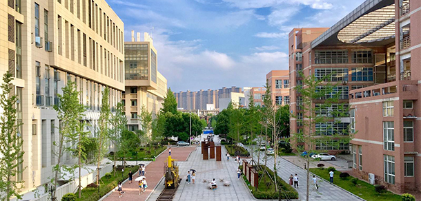 我的大學(xué)-大學(xué)志
