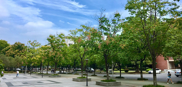 我的大學(xué)-大學(xué)志